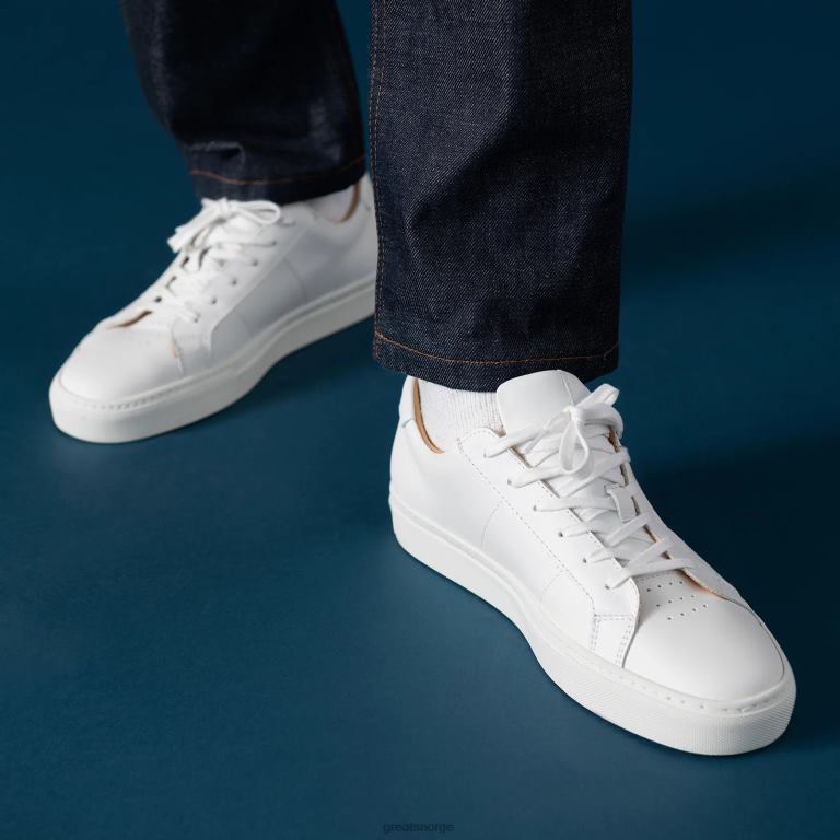 blanco GREATS den kongelige sko X424019