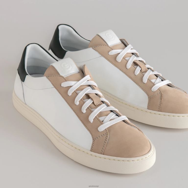 blanco grønn GREATS regjeringen sko X424027